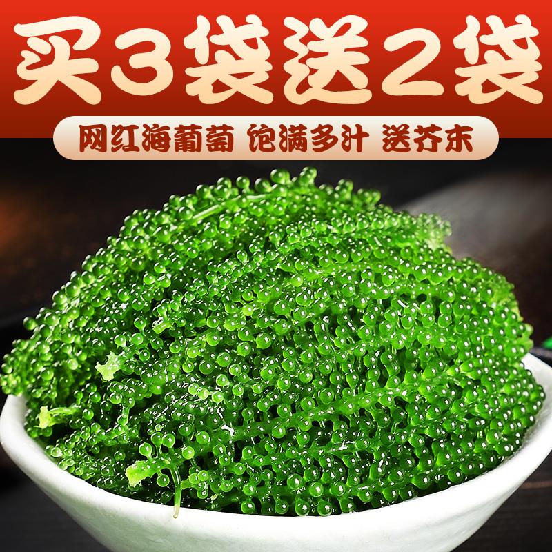 海葡萄旗舰店即食绿色鱼子酱网红盐渍海带500g海洋蔬菜海藻菜