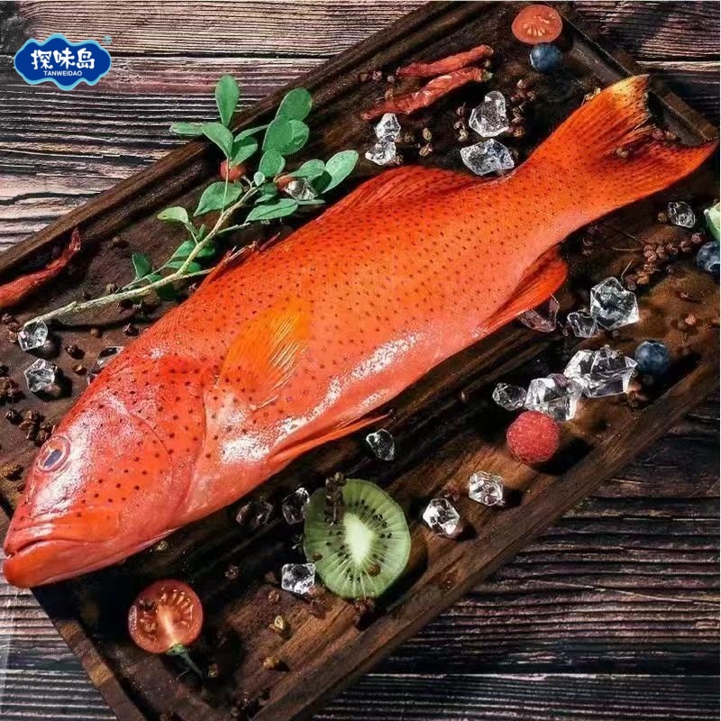 【顺丰包邮】福建东山深海东星斑鲜活海鲜活速冻红星石斑鱼海鲜水产