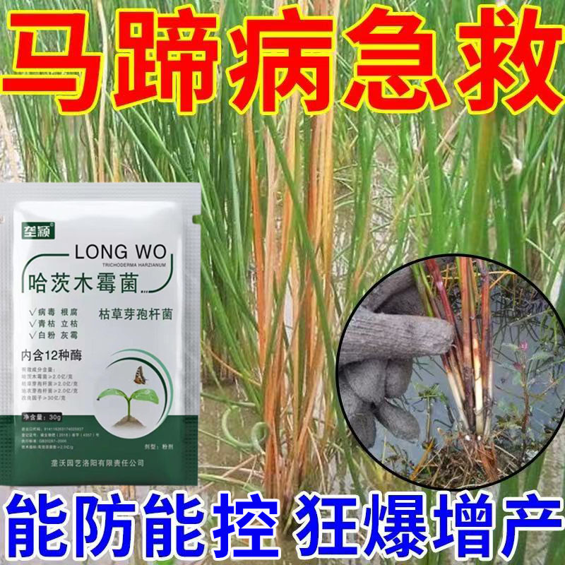马蹄专用肥料急救荸荠秆枯病红尾病白粉病根腐茎基腐病马蹄叶面肥
