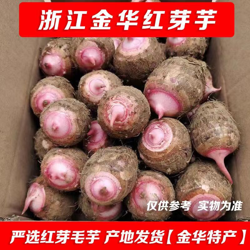 正宗金华红芽芋头新鲜现挖产地直发芋头种子带芽芋头新鲜农家菜