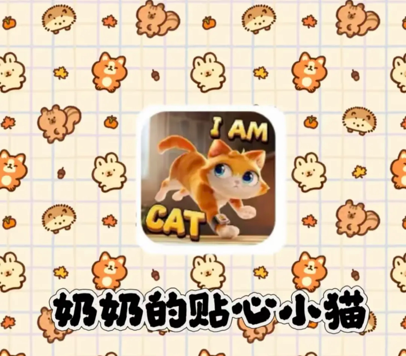 奶奶的贴心小猫定制贴纸