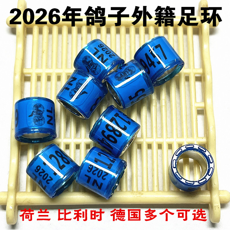 2026年外籍足环信鸽荷兰德国比利时 统一私环特比环定制