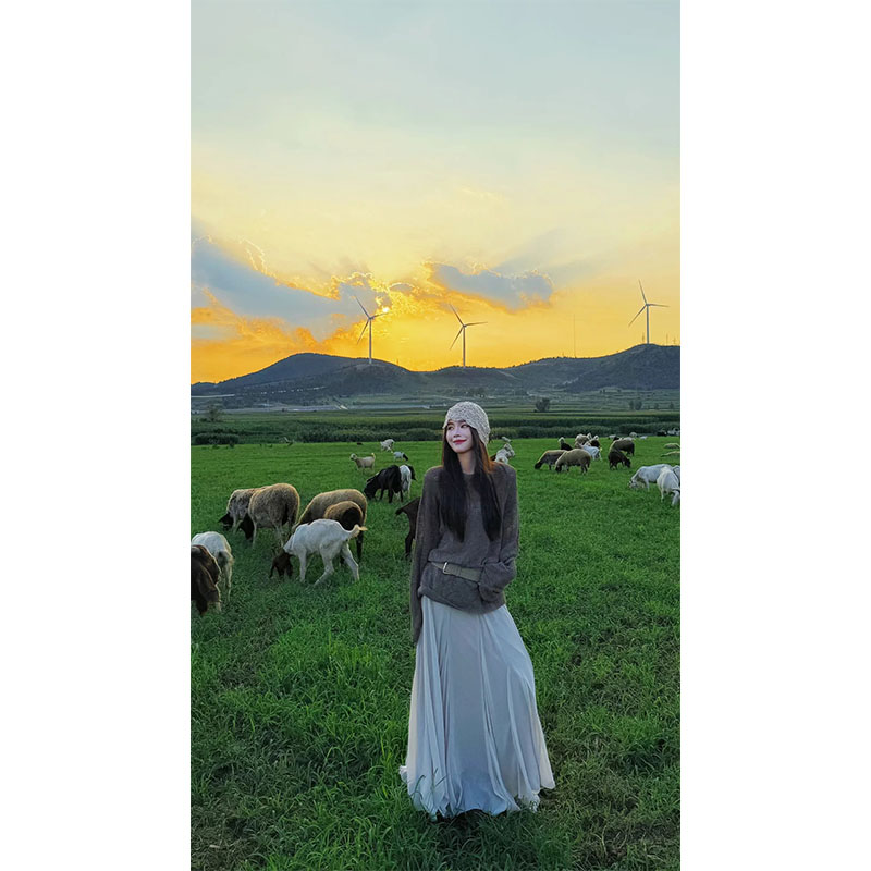 2025新款秋季显瘦修身针织圆领长袖上衣气质时尚高腰a字半身裙女