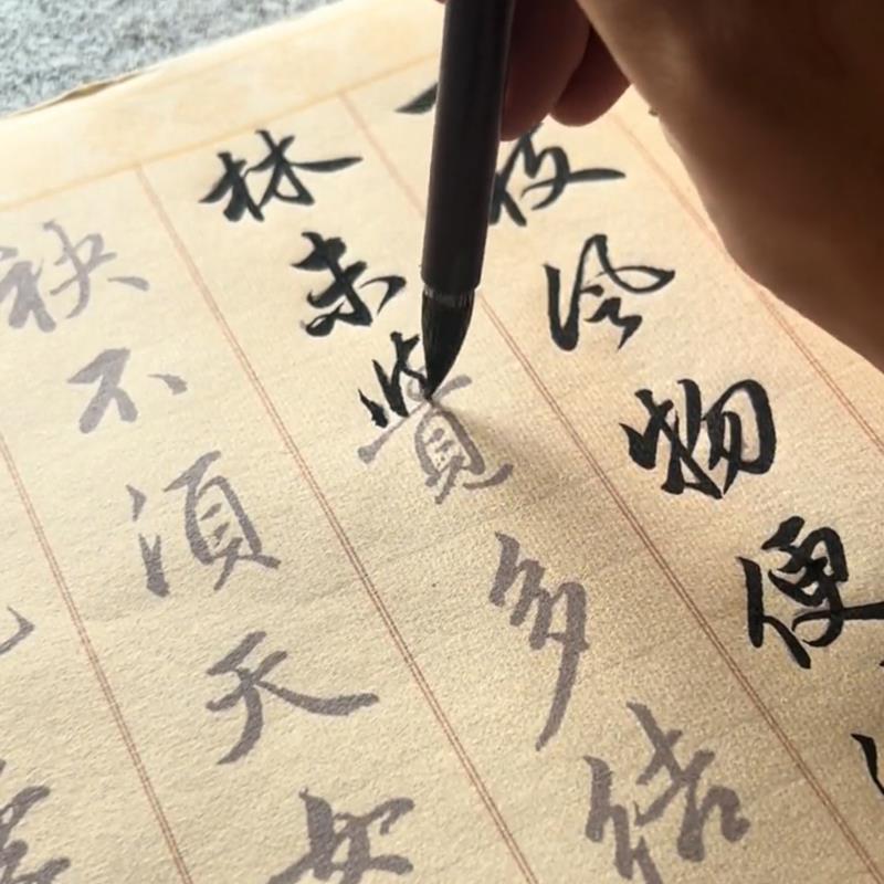 FAVMARTHA赵孟俯行书典范作品梅花诗描红长卷临摹毛笔字帖宣纸3遍