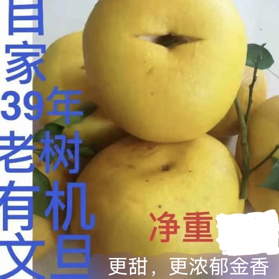 正宗玉环文旦柚新鲜裂果即食自家种植自然农法种植