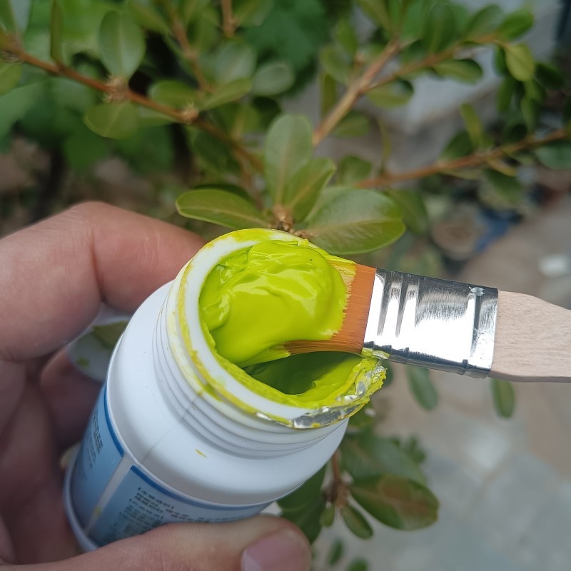 树木伤口愈合剂树干涂补剂盆景树皮涂膜剂果树嫁接切口修复涂抹膏