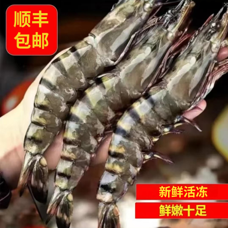 【超大黑虎虾】 新鲜冷冻大虾 肉质鲜嫩 老虎虾 年货冬日火锅食材