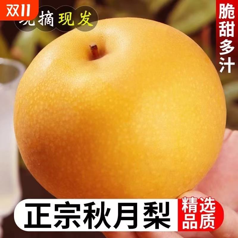【精品水果】山东莱阳精品秋月梨新鲜应季水果产地直发水果礼盒