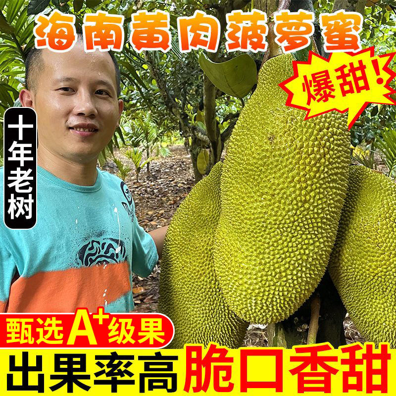 海南热带黄肉菠萝新鲜蜜水果10-40斤新鲜应季水果一整个包邮