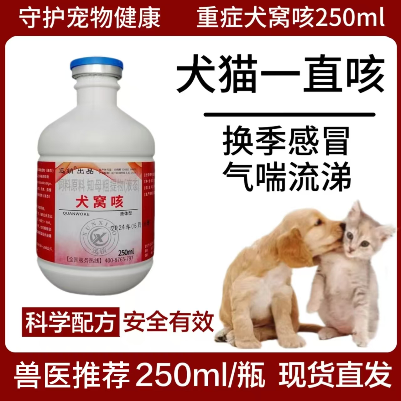 犬窝咳猫咪狗狗严重窝咳润嗓干呕咳嗽换季感冒反复窝咳精神气喘