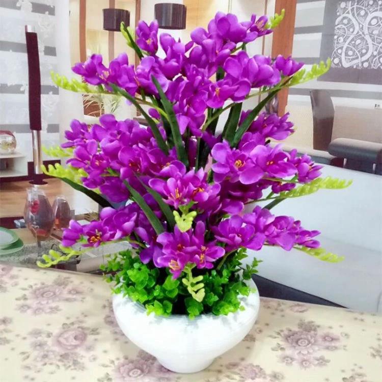 四季南北方种植晚香玉球根重瓣花卉浓香型室内外多年生抗寒好养护