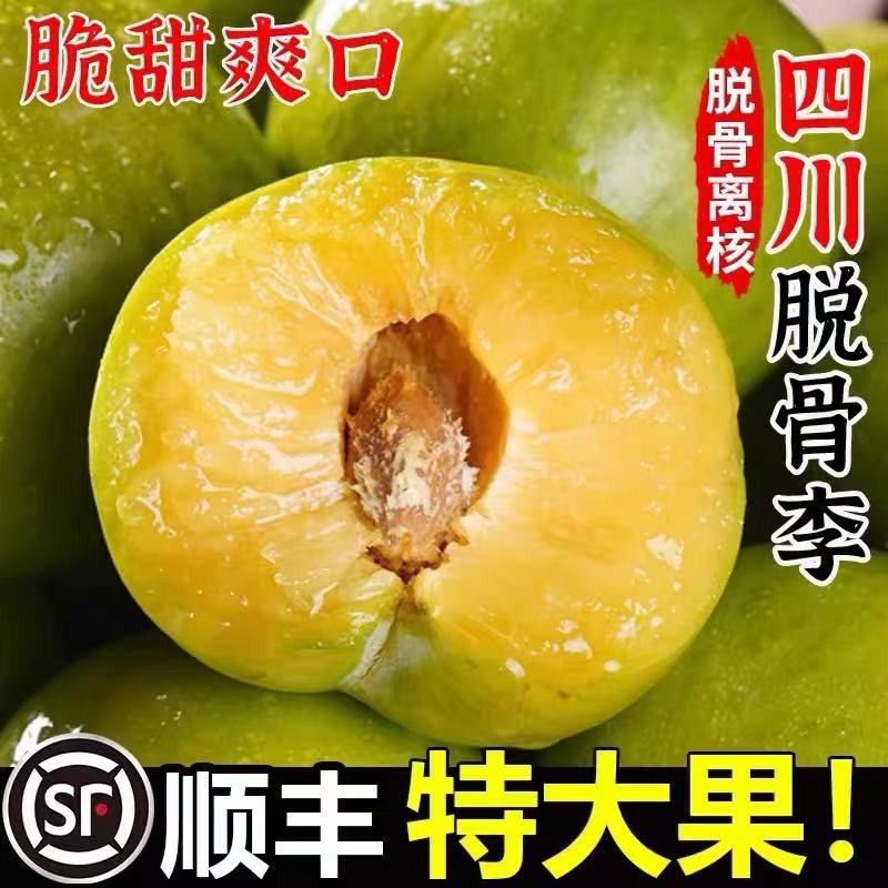 【顺丰包邮】四川阿坝青脆李新鲜采摘时令水果应季孕妇水果脆甜多汁