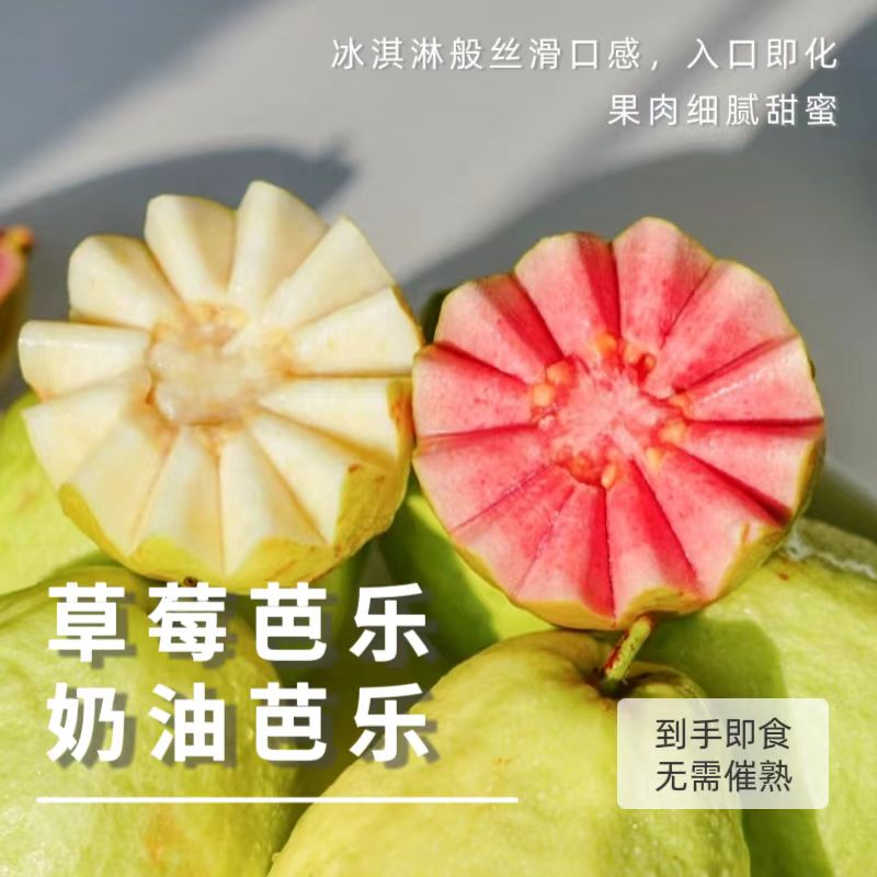 【顺丰包邮】奶油草莓芭乐软糯细腻新鲜低卡孕妇时令水果产地直发