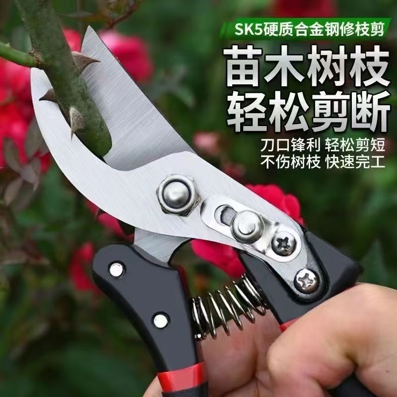 SK5园艺修枝剪刀树枝剪园林家用省力款花枝园艺剪枝