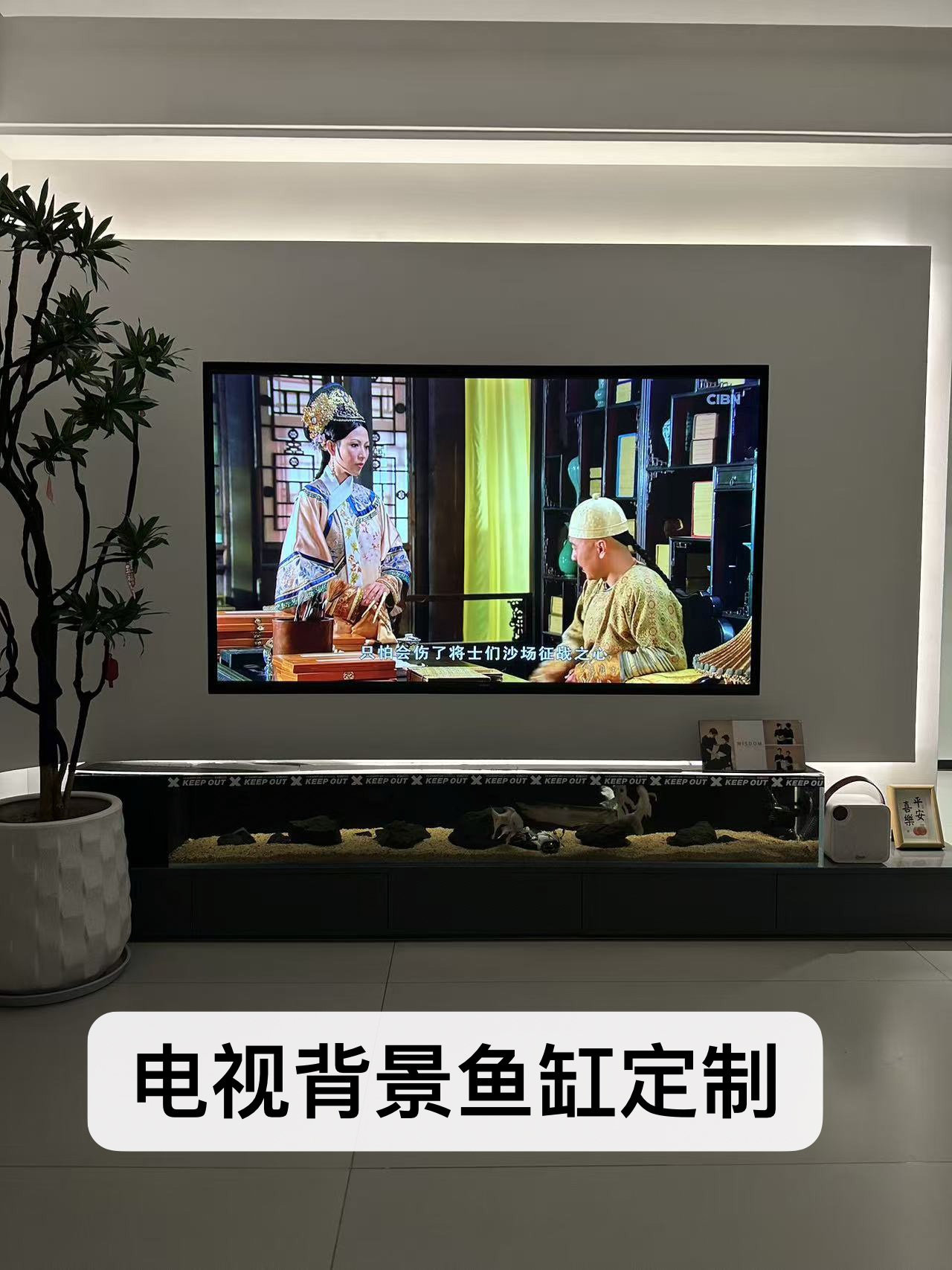 电视背景鱼缸定制+设计