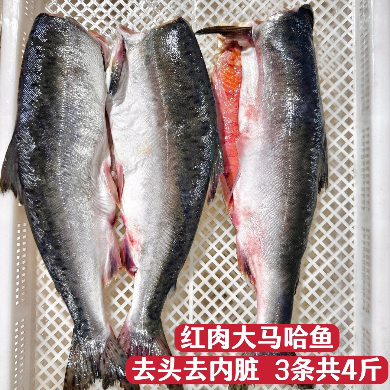 大马哈鱼新鲜冷冻无盐俄罗斯洄游非佳木斯抚远东北特产去头去内脏