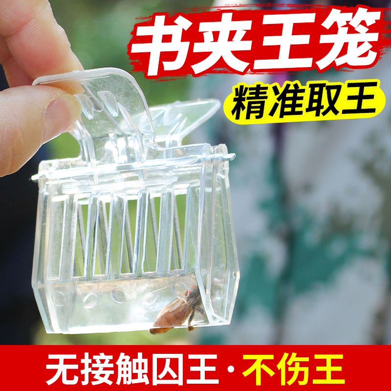 书夹式王笼蜜蜂囚王笼关王控王蜜蜂囚王笼囚王控产专用蜜蜂王笼