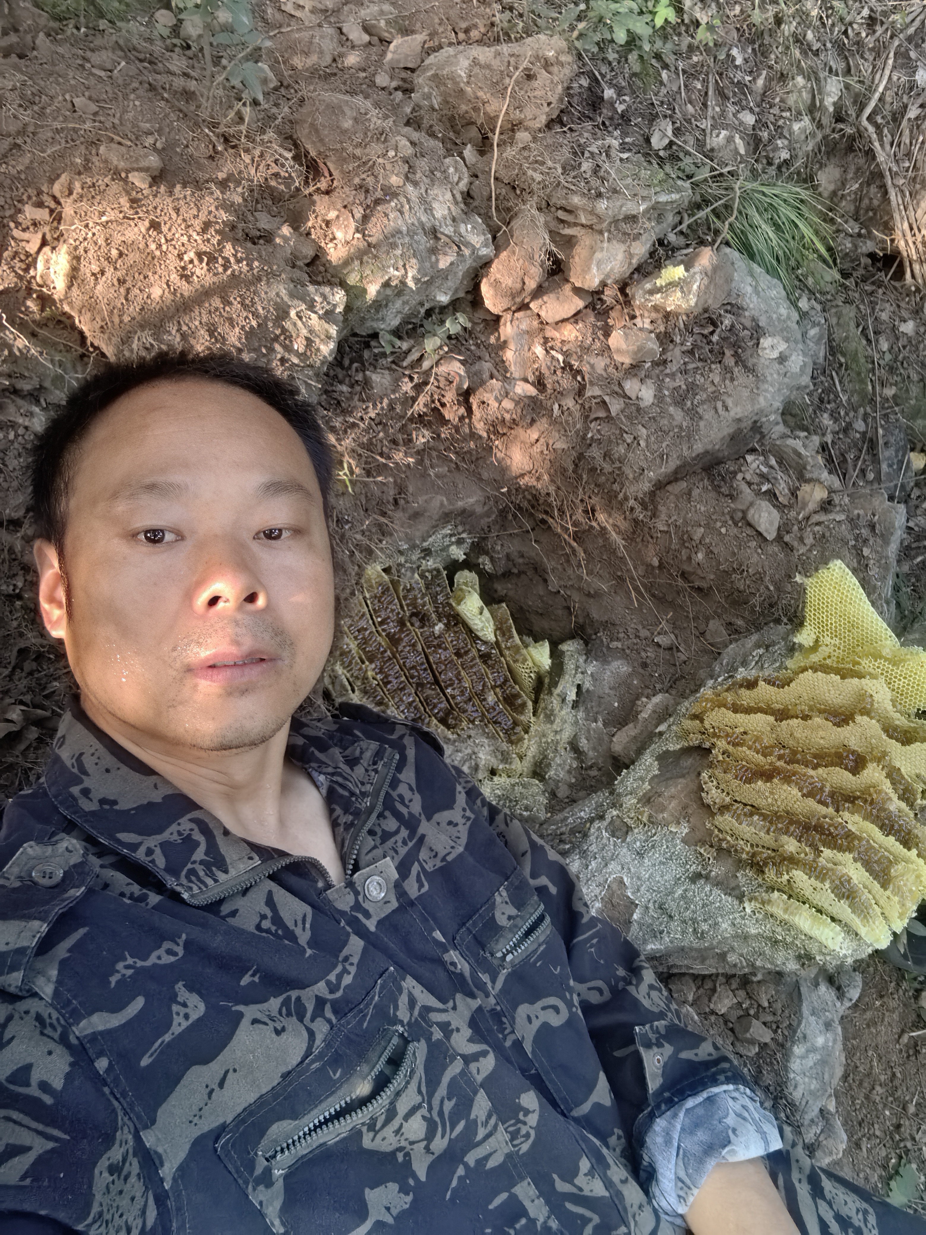 神农架百花土蜂蜜岩洞野蜜