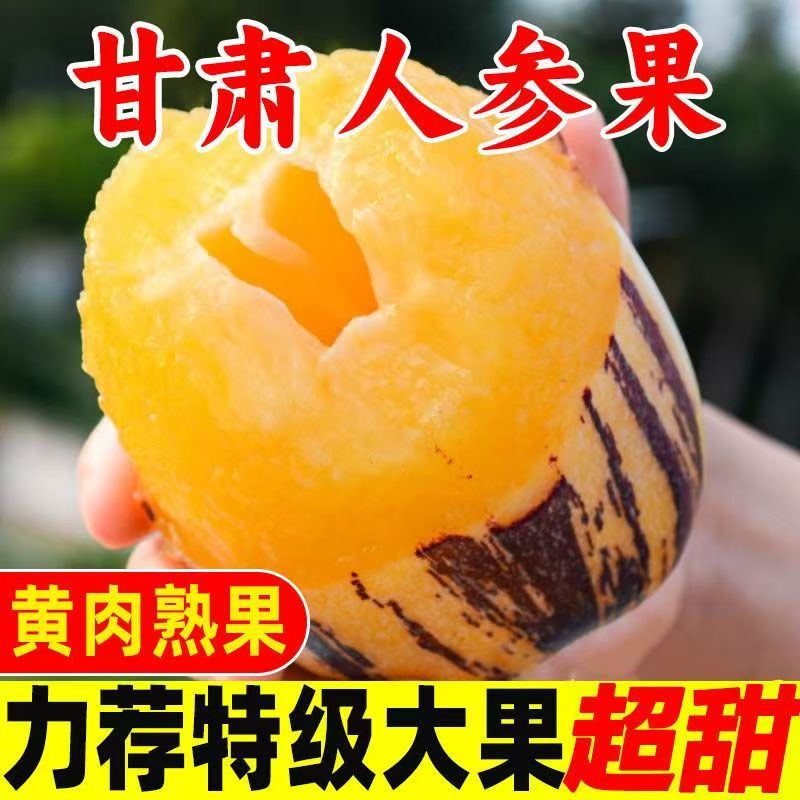 【保温袋发货】甘肃民勤沙漠人参果树熟果黄肉黄皮大果新鲜清甜