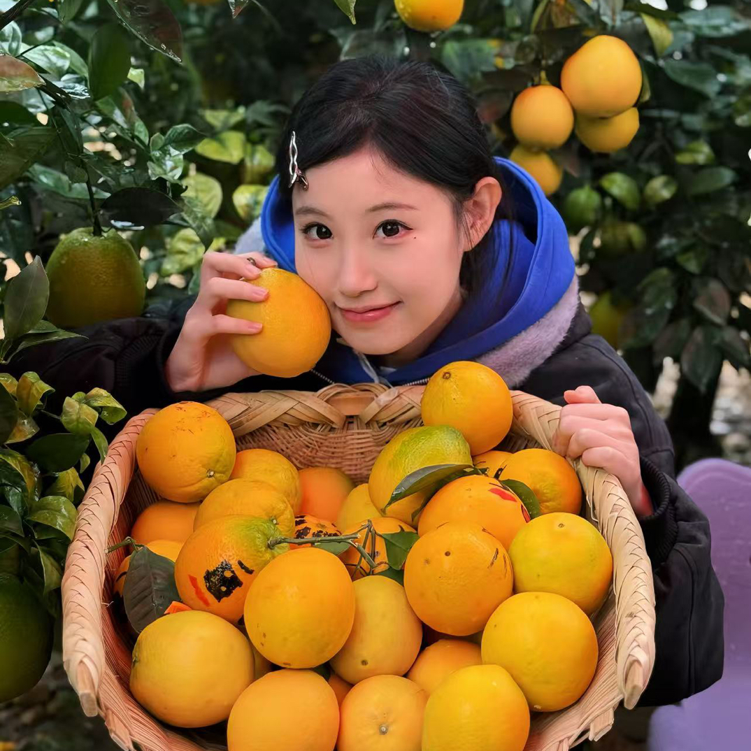 小鑫雨自家正宗赣南脐橙产地直发应季水果细腻多汁