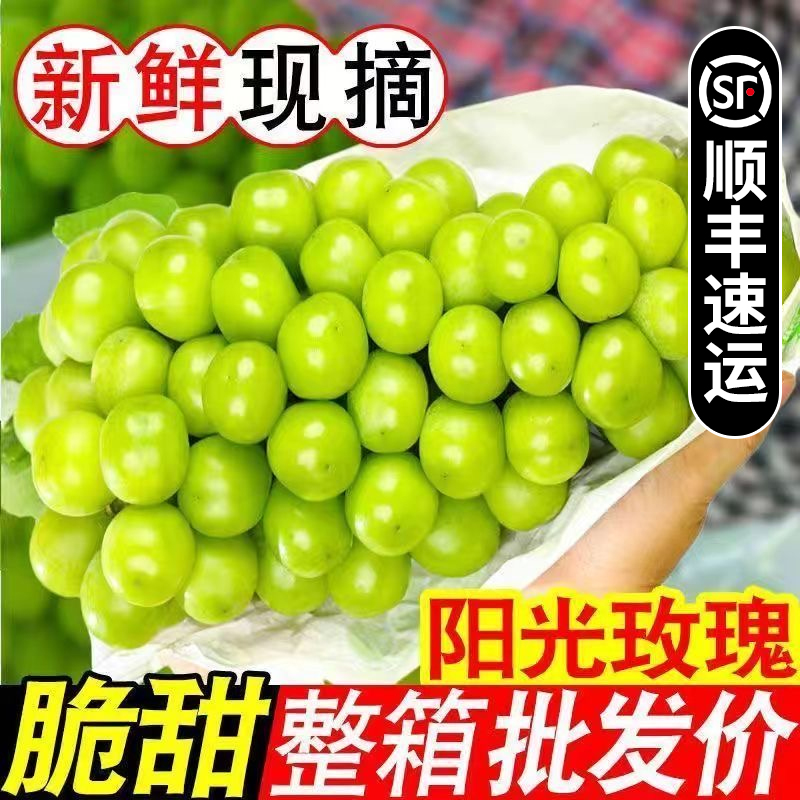 S1【顺丰包邮】正宗阳光玫瑰葡萄新鲜水果爆汁无核无籽整箱发货