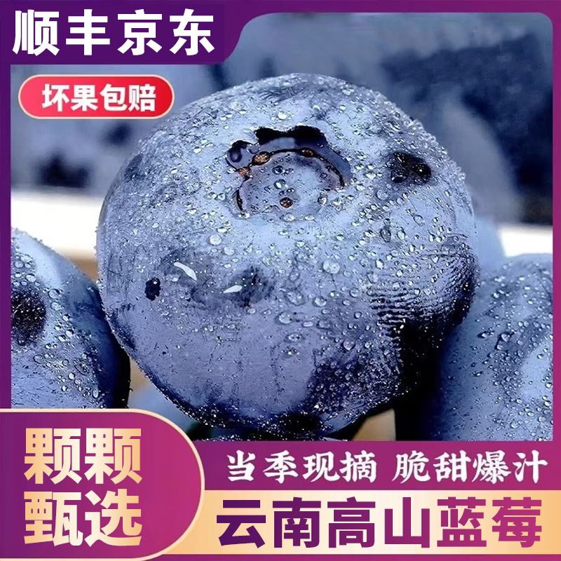 S2【顺丰京东】云南脆甜蓝莓大果新鲜水果应季水果脆甜(100g/盒)