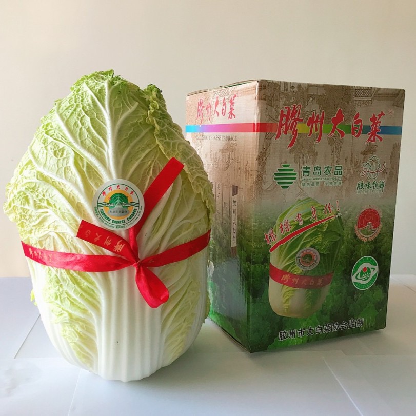 【康康专属】正宗胶州大白菜礼盒装单棵4.5斤左右
