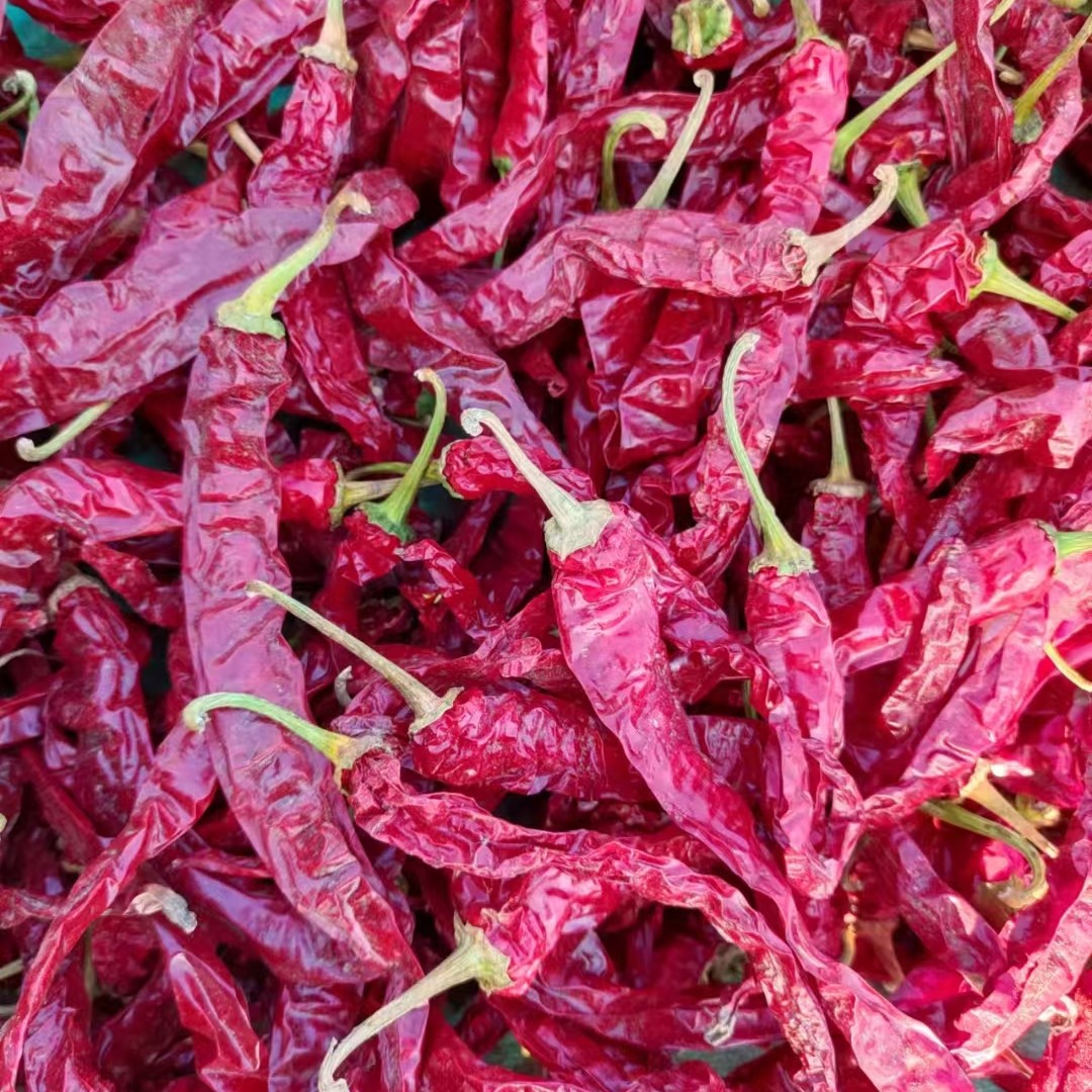 东北农家自然晒干红辣椒【九分干】