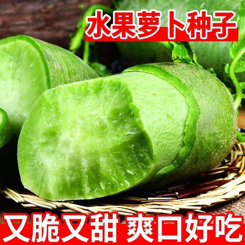 【冰糖脆水果萝卜种子】生吃脆甜农家蔬菜四季播种阳盆栽绿萝卜