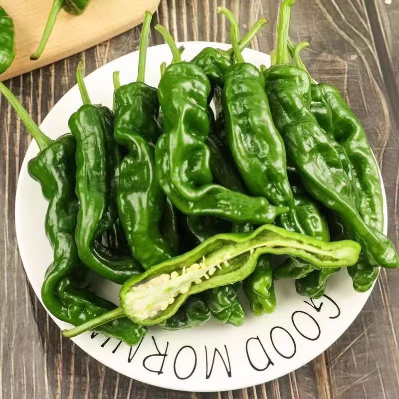 安徽现摘现发小皱皮薄皮辣椒青辣椒特辣辣椒螺丝椒特辣巨辣本地