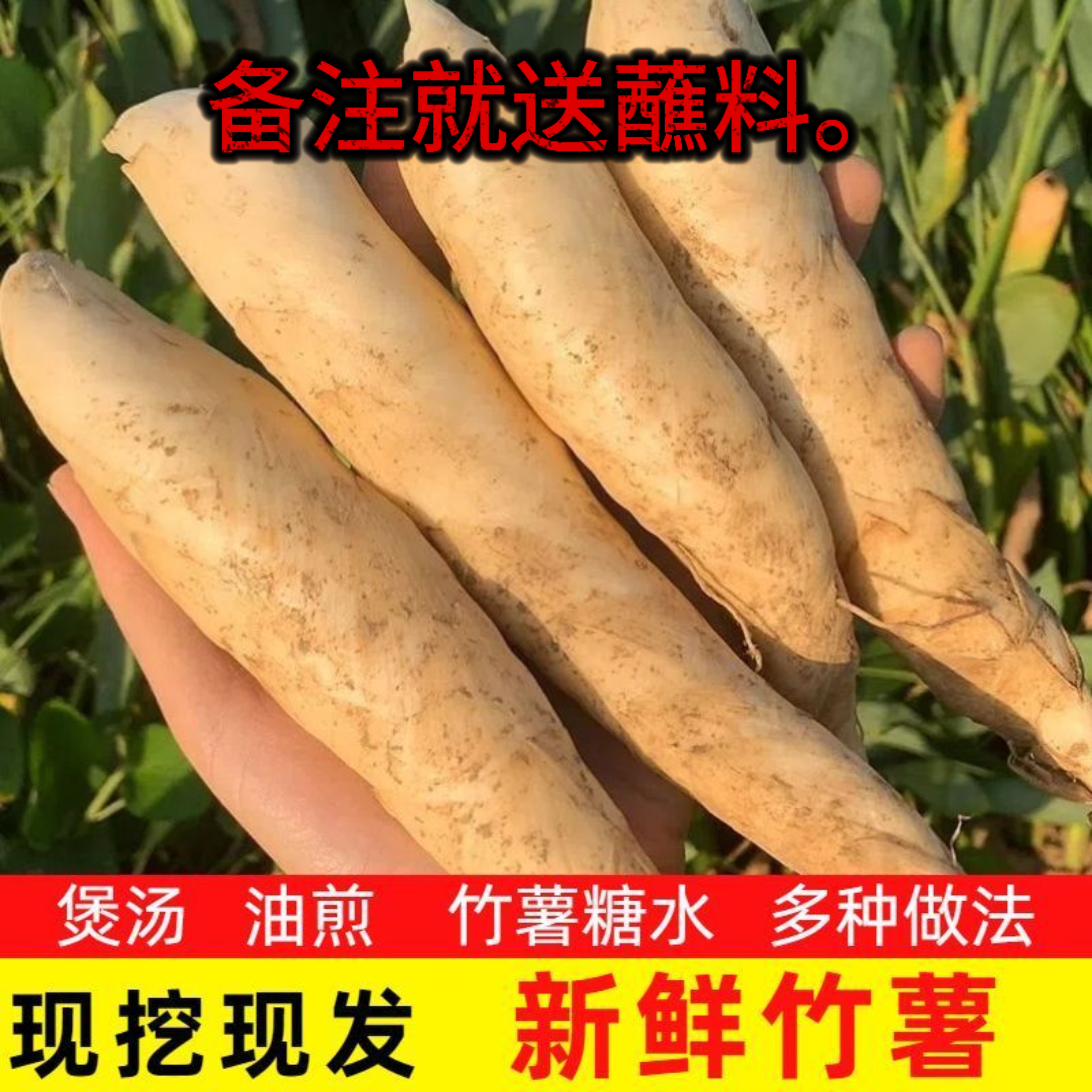 广东新鲜竹薯竹芋冬粉薯自产自销煲汤清甜下单包邮