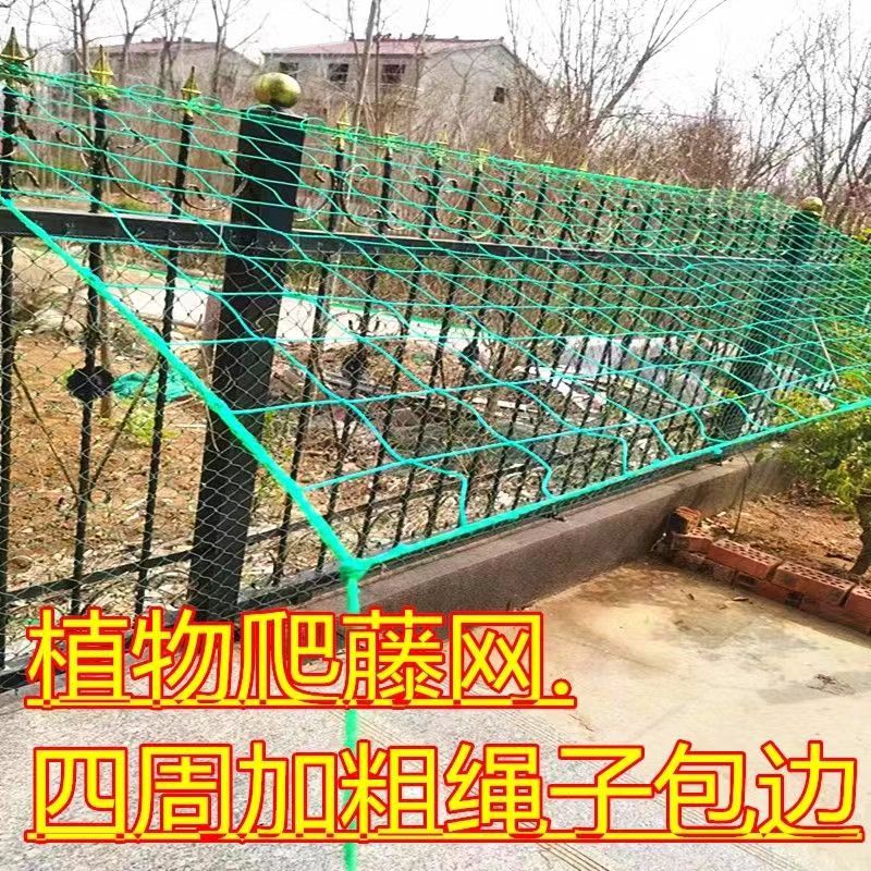 植物爬藤网百香果丝瓜吊瓜葡萄黄瓜花卉月季蔬果菊花攀爬网种植网