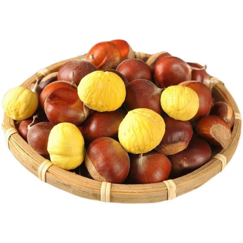 云南高山老树新鲜板栗粉糯香甜 1/3/5 斤坏果包赔