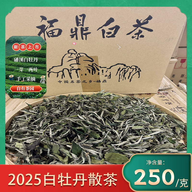 2025年花香福鼎白茶白牡丹散茶250g试喝装50g高山老树半斤口粮茶
