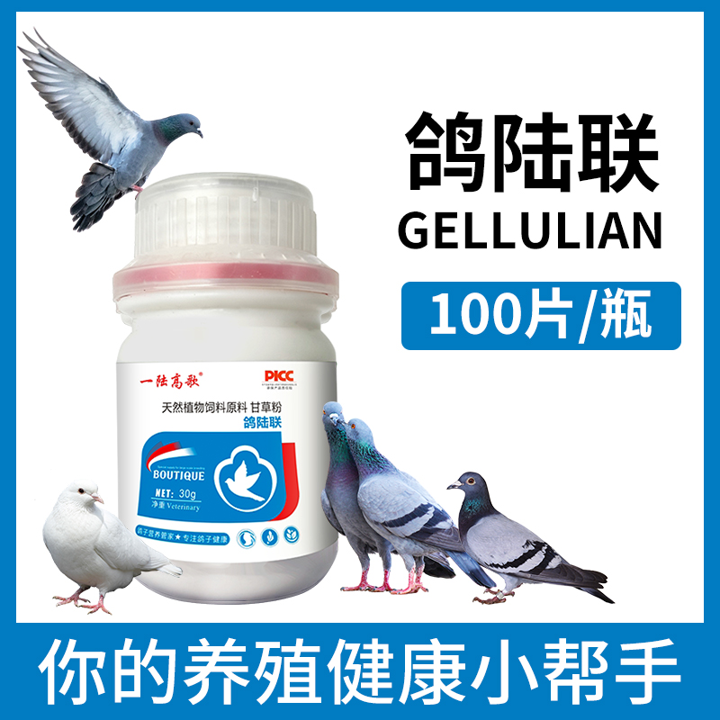 鸽陆联 鸽子营养肉鸽赛鸽信鸽宠物鸽子通用