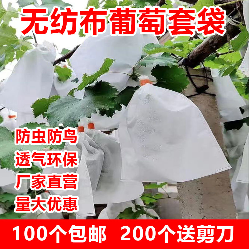 无纺布葡萄套袋防虫防鸟防雨水水果通用网袋透气保护葡萄专用套袋