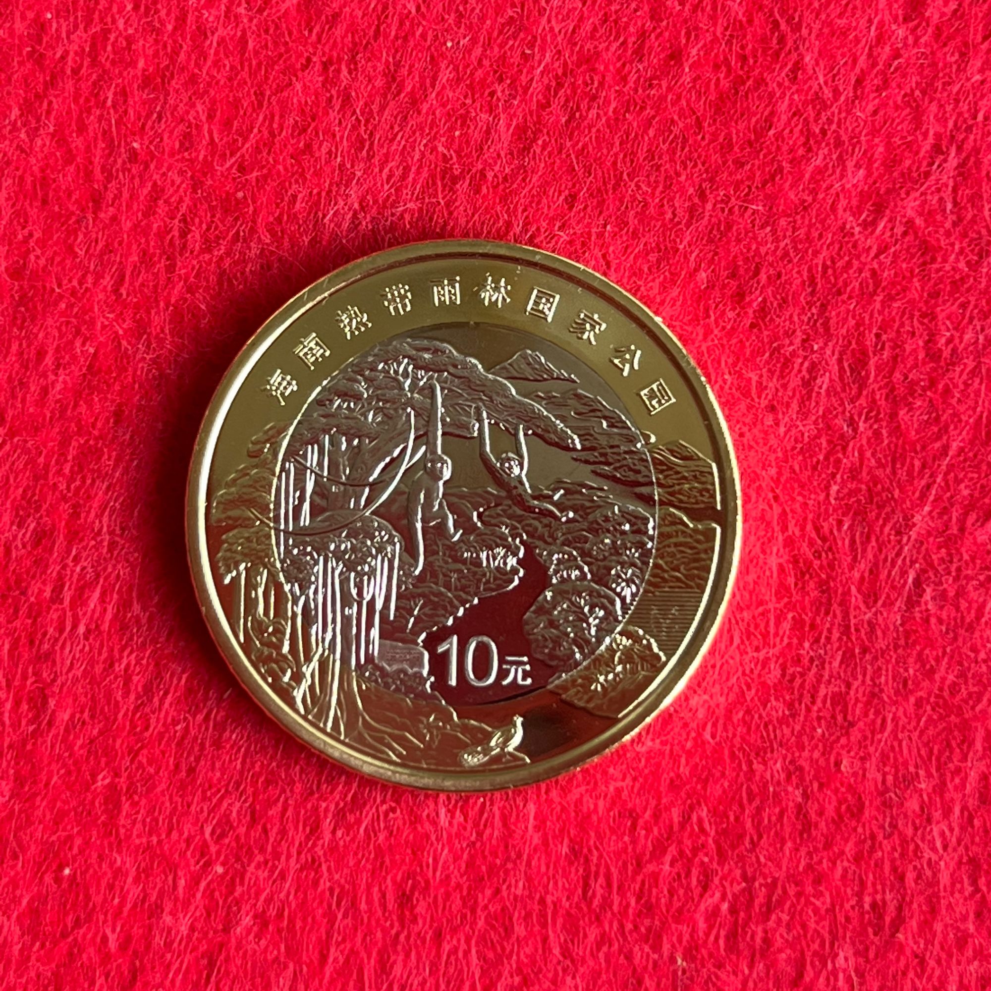 法定货币2025年海南热带雨林国家公园纪念币银行保真