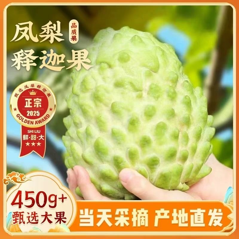 新鲜凤梨牛奶释迦果番荔枝佛头摩尼果斤当季应季时令特大水果整箱