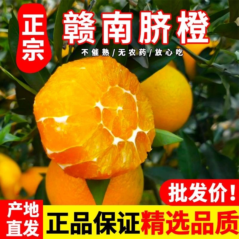 -/霆特现摘【产地直发】正宗赣南脐橙应季水果新鲜橙子好吃精品果！