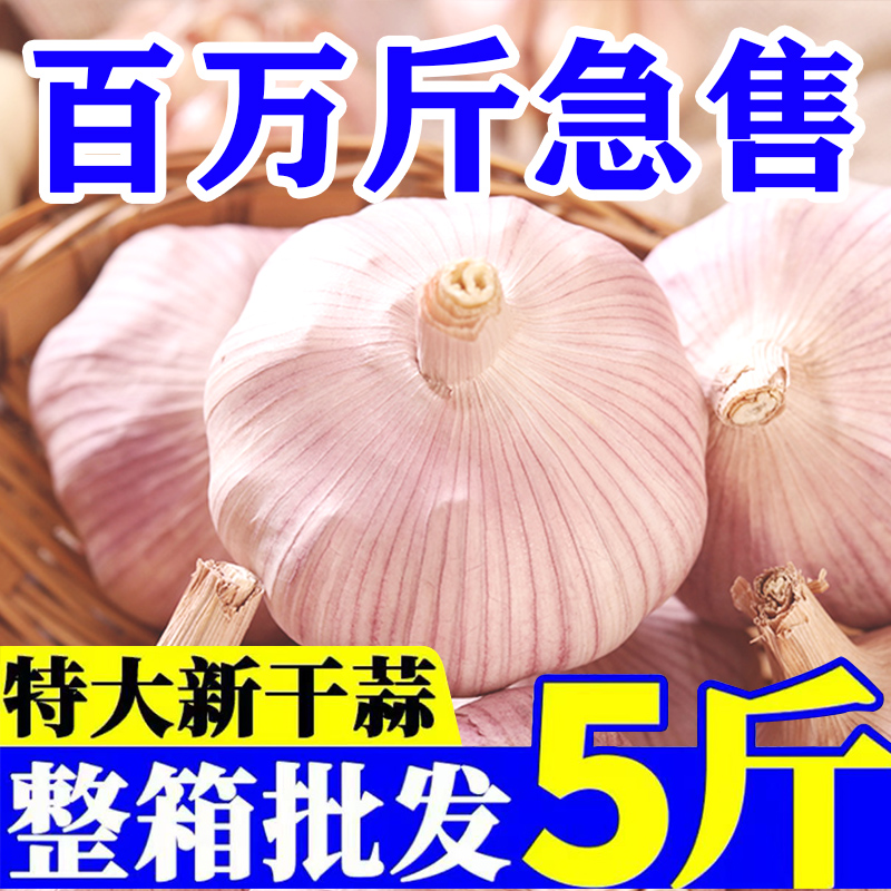 【2025新干蒜】农家紫白皮大蒜头干蒜新鲜自然晾晒辛辣提香蔬菜新鲜