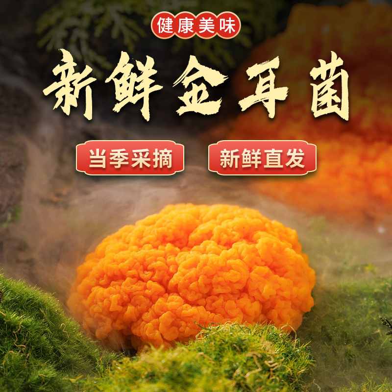 悦舌鲜新鲜金耳菌-菌中燕窝易出胶刺身凉拌煲汤炒菜好吃