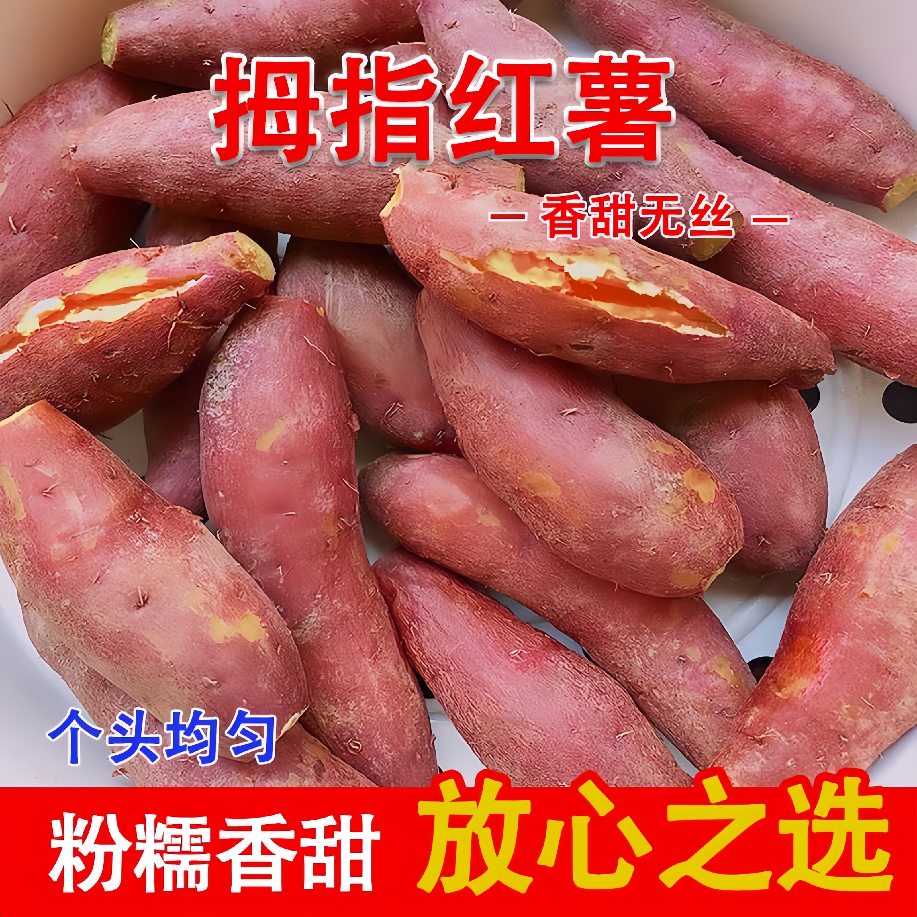 2025正宗沙地糖心蜜薯新鲜现挖软糯香甜红心红薯