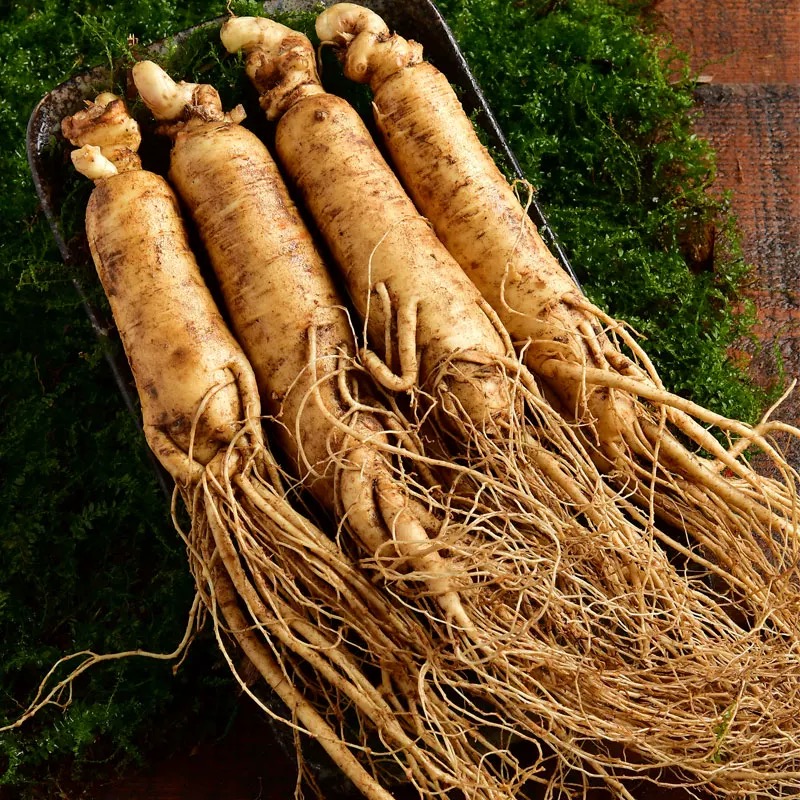 长白山现挖小鲜参花旗参西洋参人参半斤装15-18只左右顺丰发货