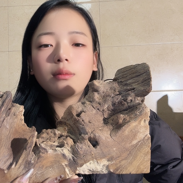 大叶紫檀（黑酸枝木类）