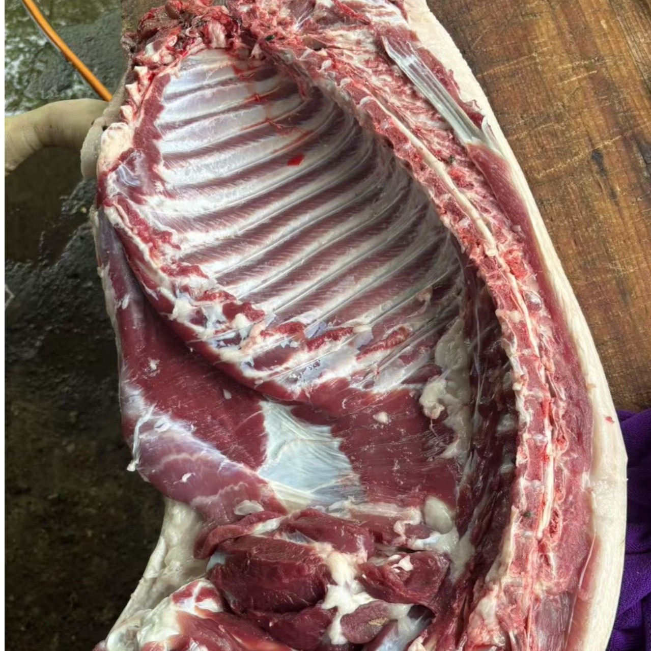 2号蕨麻藏香猪山猪黑猪肉正宗土猪肉黑土猪肉黑猪肉土猪肉跑山猪