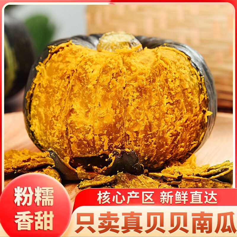 【坏果包赔】沙地贝贝粉糯香甜板栗味内贝贝小南瓜辅食粗粮代餐