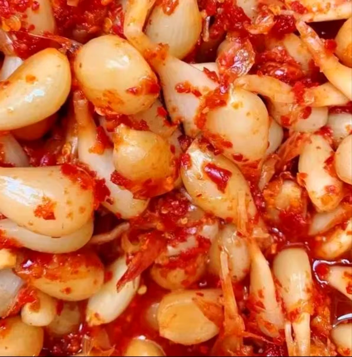 云南大理家乡特产酸甜辣藠头腌制荞头下饭菜，脆辣爽口