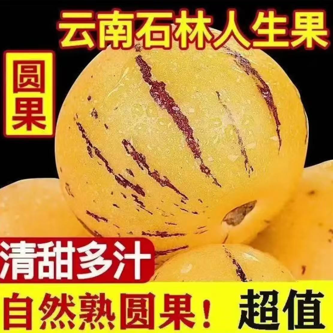 《DS1》云南石林树上熟黄肉果当季新鲜低糖清甜多汁水果人参果