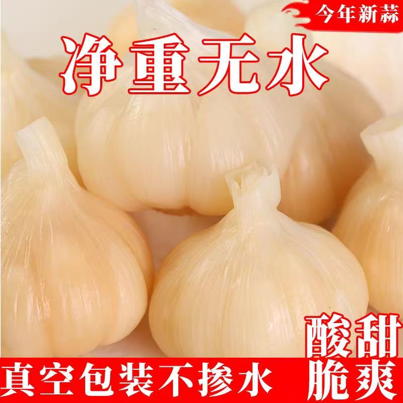 赢鑫山东糖醋蒜新蒜大头蒜厂家直销咸菜酱菜泡菜批发