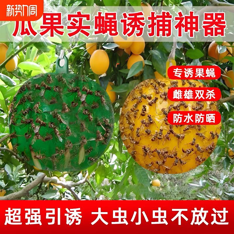 【果蝇诱捕球】果蝇诱捕好物粘虫大果园实蝇瓜贴柑橘针蜂诱捕果蝇